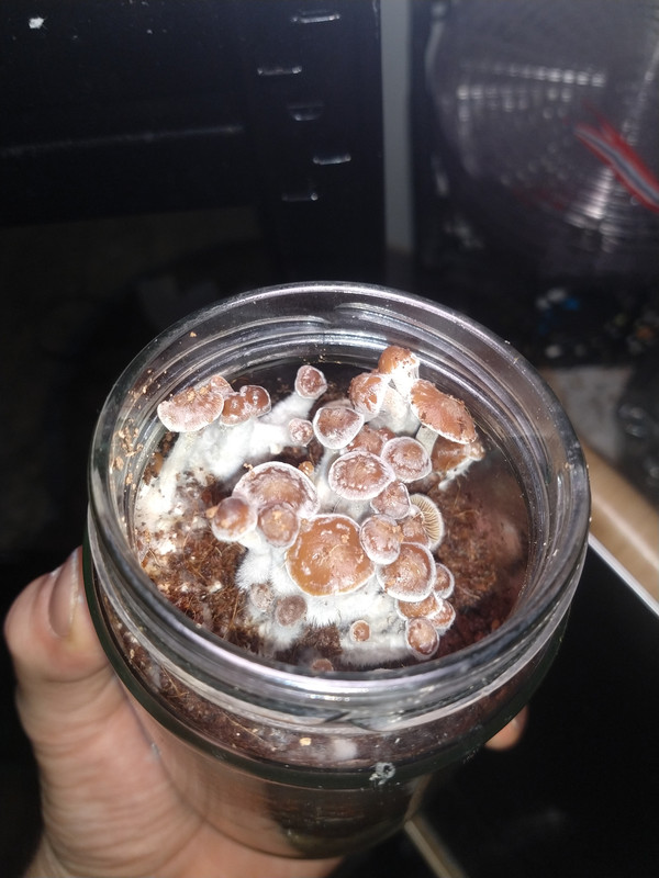 IMG_20211130_210340736