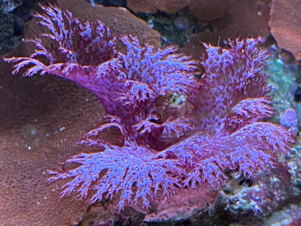 D4B56EC0-13F9-4EEE-B43A-B06047CC29AA