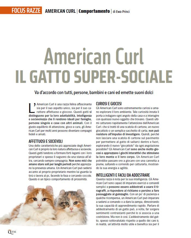 QuattroZampe Set 2024 (11)