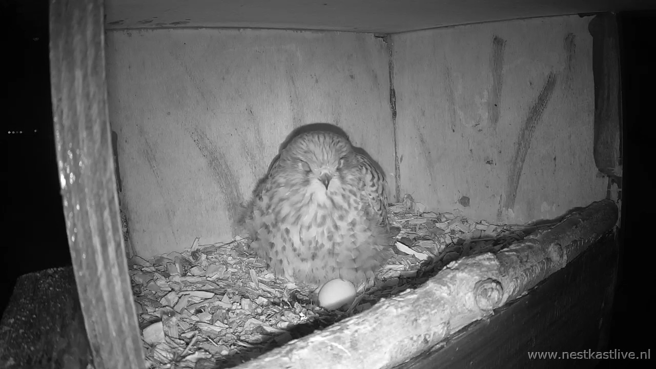 snapshot 2026 03 28T234509 426