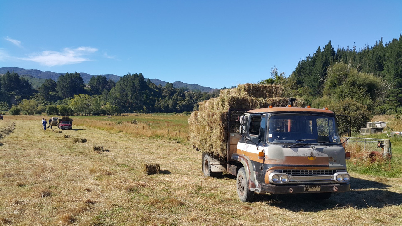 20210201_171130 (Large)