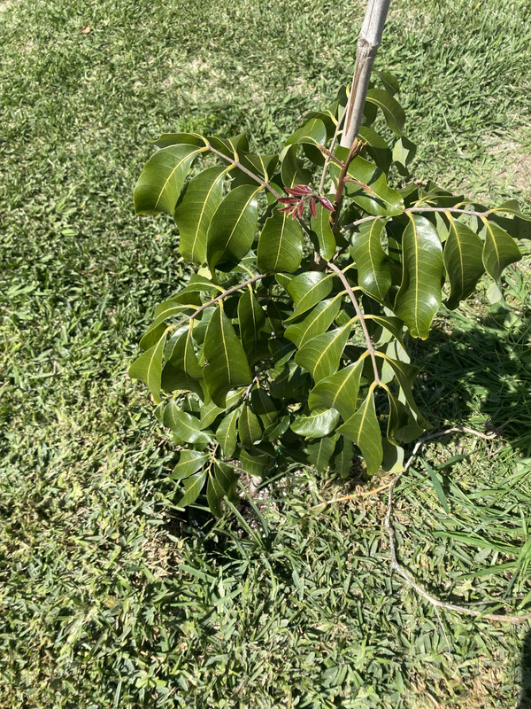 15C5601B-7610-44F5-B548-8E7B7F693B4D