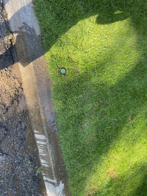 AD06C66B-FC6A-4E7C-8025-200FB0914926