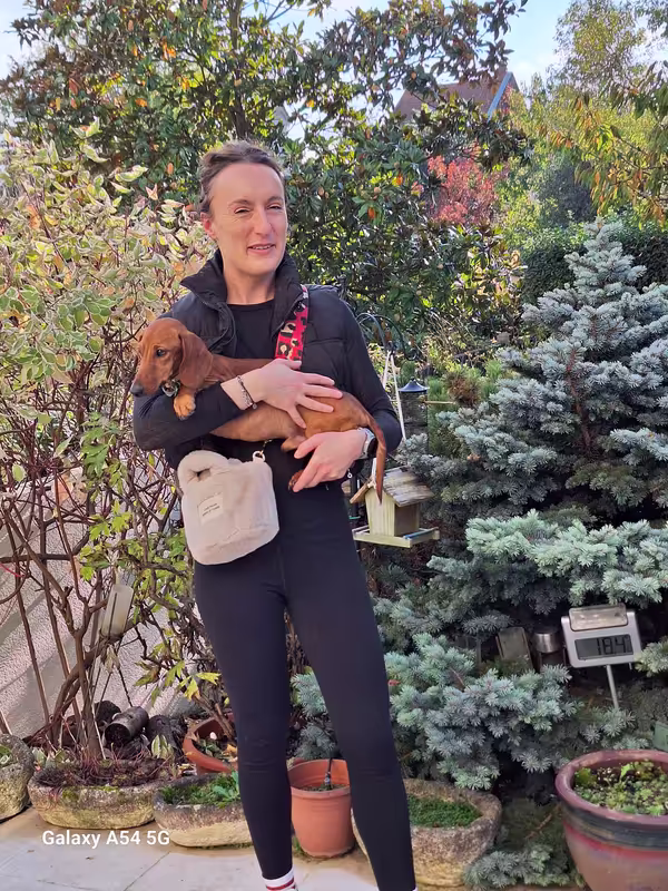 [Image: 20241026-155538.avif]