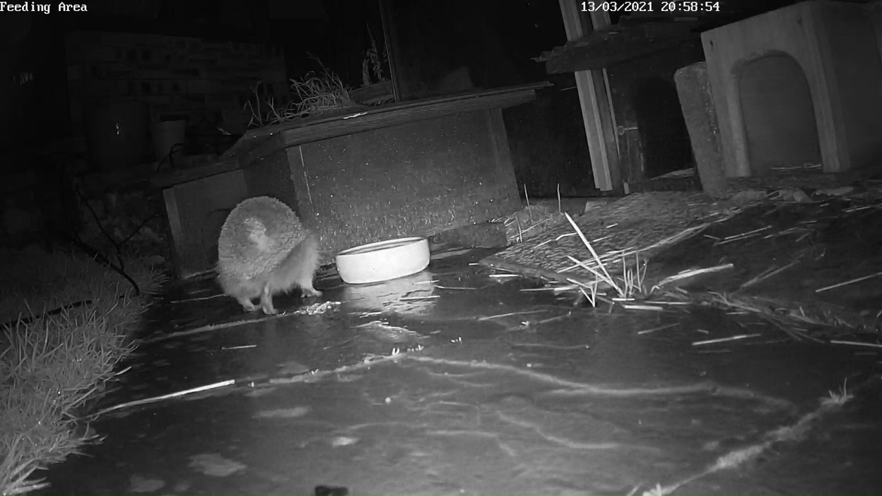 6BCF703C-F9AC-4E33-836C-1367C6E27919