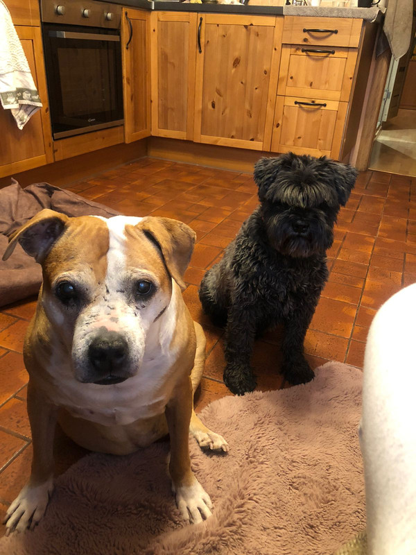 IMG 20251216 WA0012 1