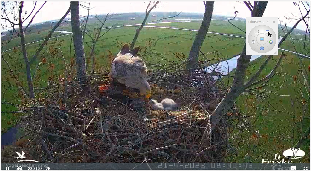 Screen Shot 04-21-23 at 08.41 AM 001