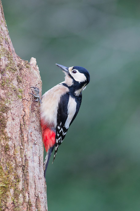 6F0A3827_DxO resized