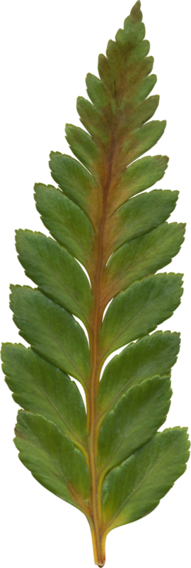 0_1c17b5_b18603c4_orig