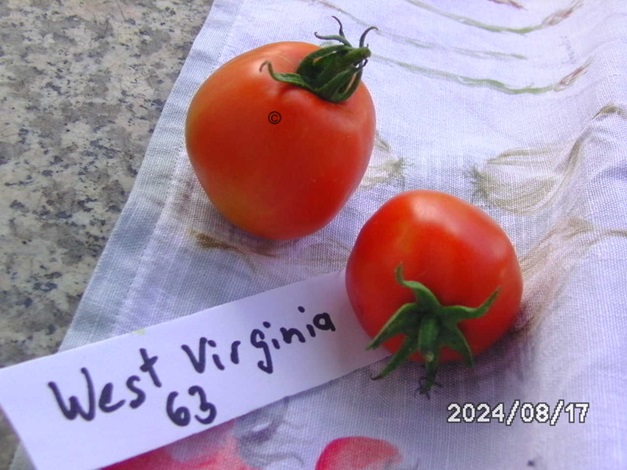 [Bild: BILD0338.jpg]