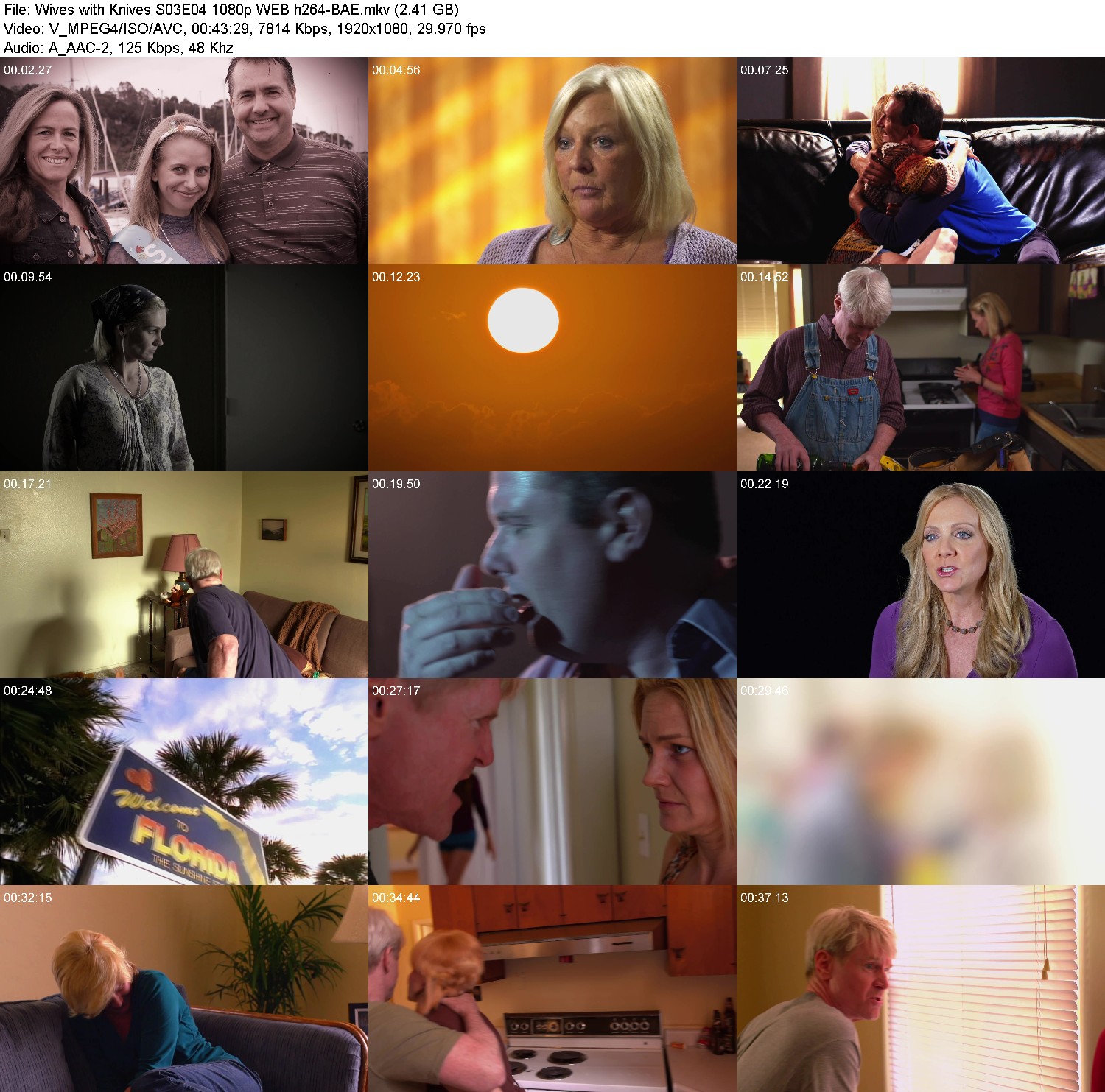 [Image: mlre0vja115y.jpg]