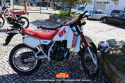 IMG-6000