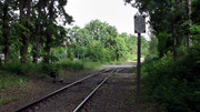 S1470174