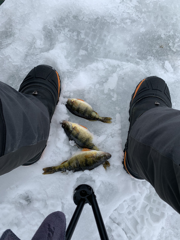 84044433-02CA-4EED-B85C-663EEA783798