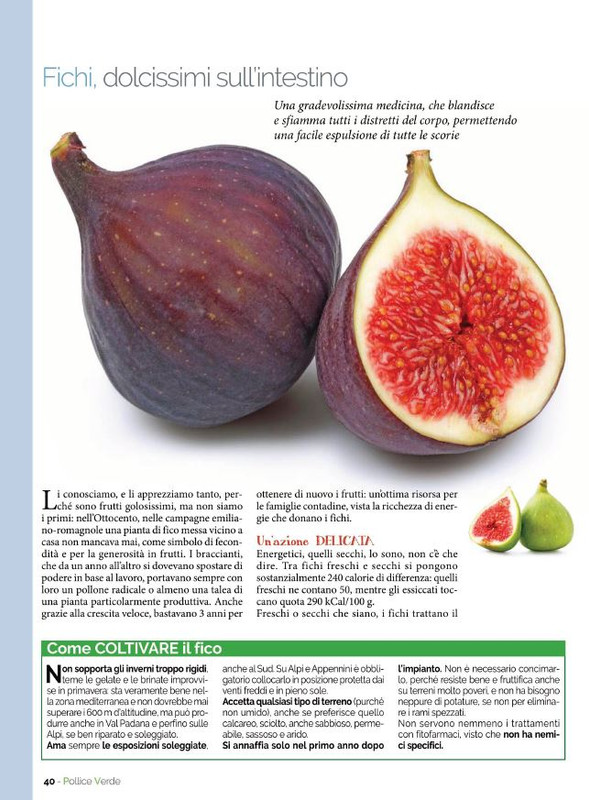 Pol Ver Ago 2021 (7)