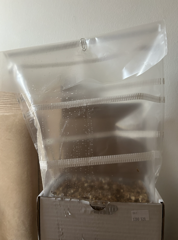 Ekran Resmi 2024-01-13 13.30.48