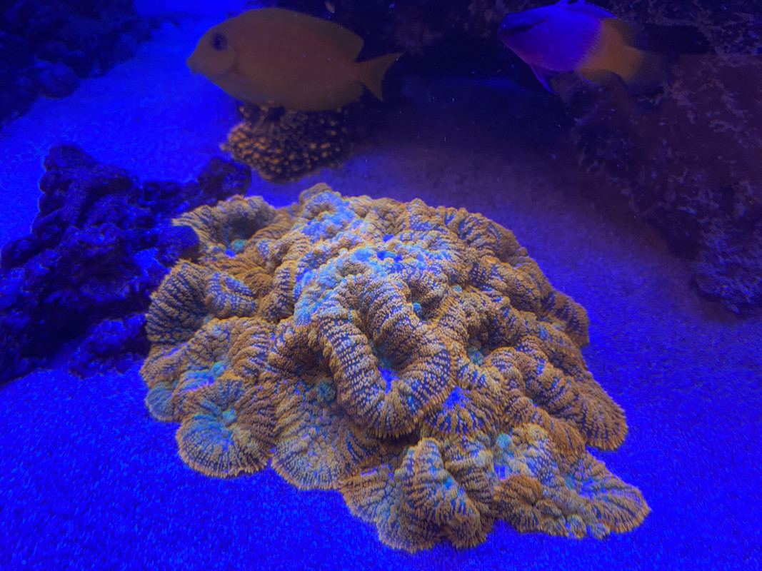 38FE4F61-4F65-4736-8F0C-DA0C8969885C