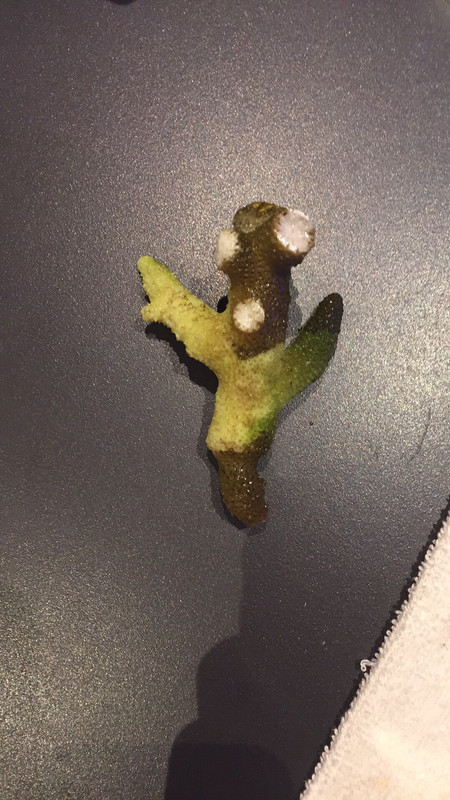 49FE21A2-1DB9-441C-8B28-9ECED2F82E41