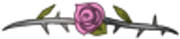 Middle