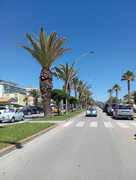 ca2653d6-18ae-4f81-b312-7fb71788feb2