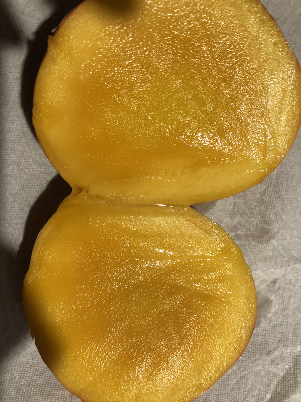 4419DA38-5E94-4618-BE3A-1472F9BEB09B