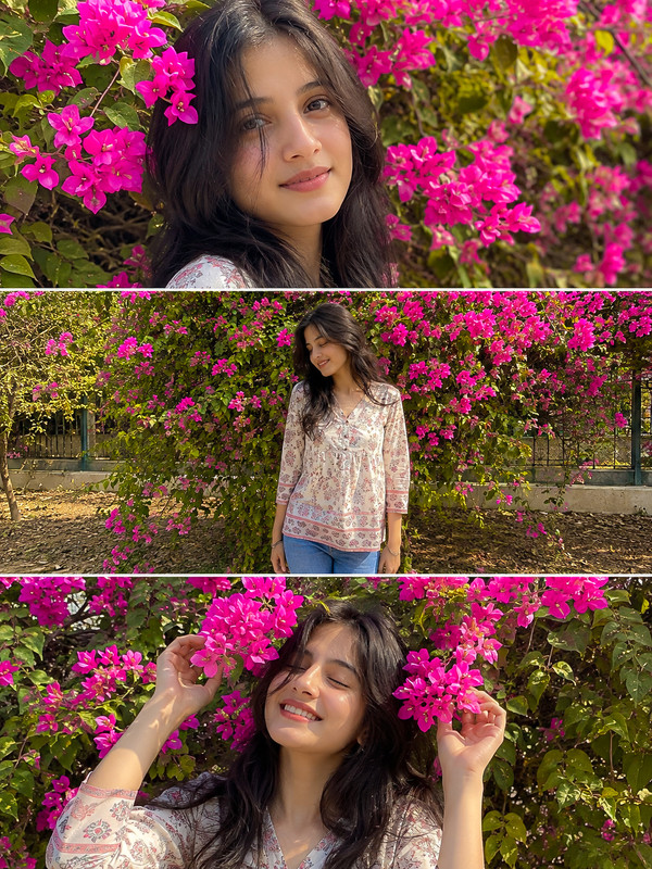 Bougainvillea Garden Triple Portrait