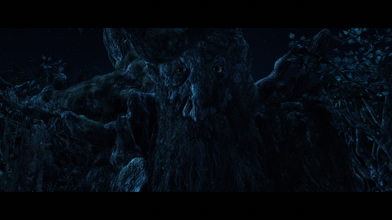 The Lord of the Rings- The Two Towers (EXT.) PT. 2.mkv_snapshot_01.07.07_[2020.12.11_21.36.52]