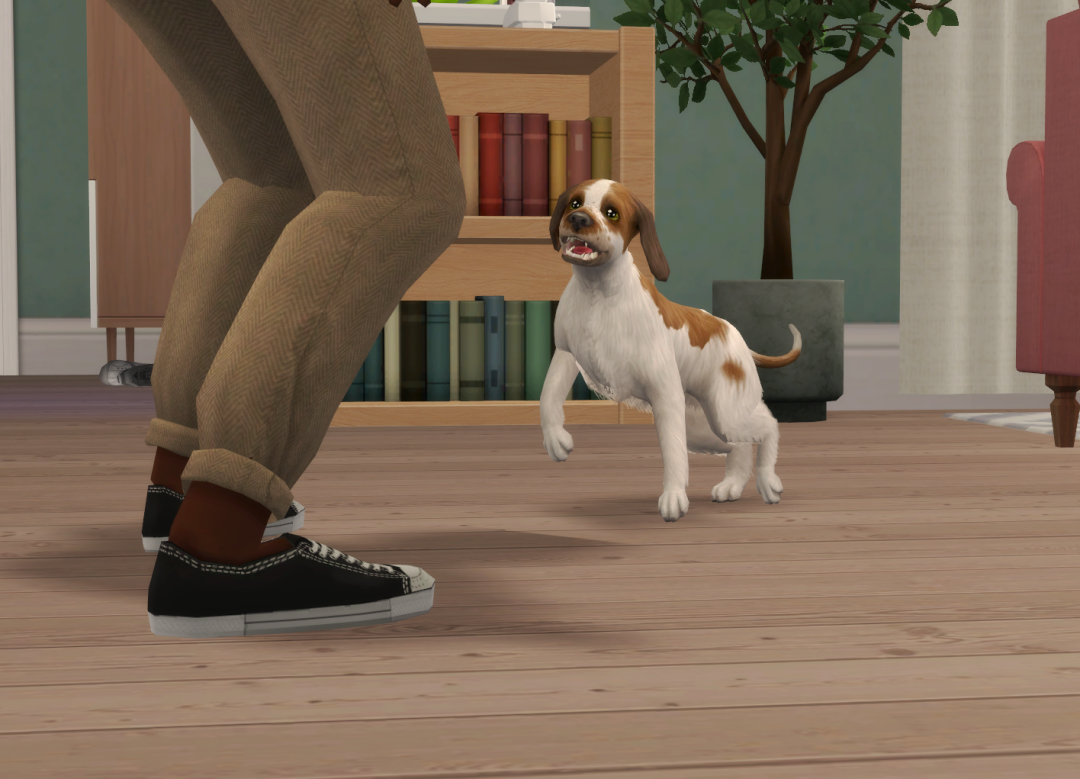 Sims2-EP9-RPC-2024-11-17-14-44-49-21