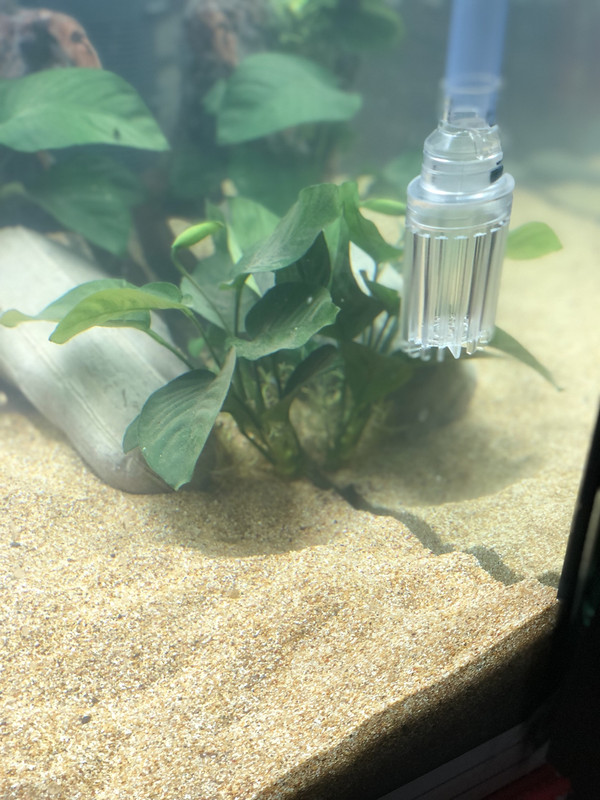 BFE5CE04-728B-478D-A716-A14AD17053E4