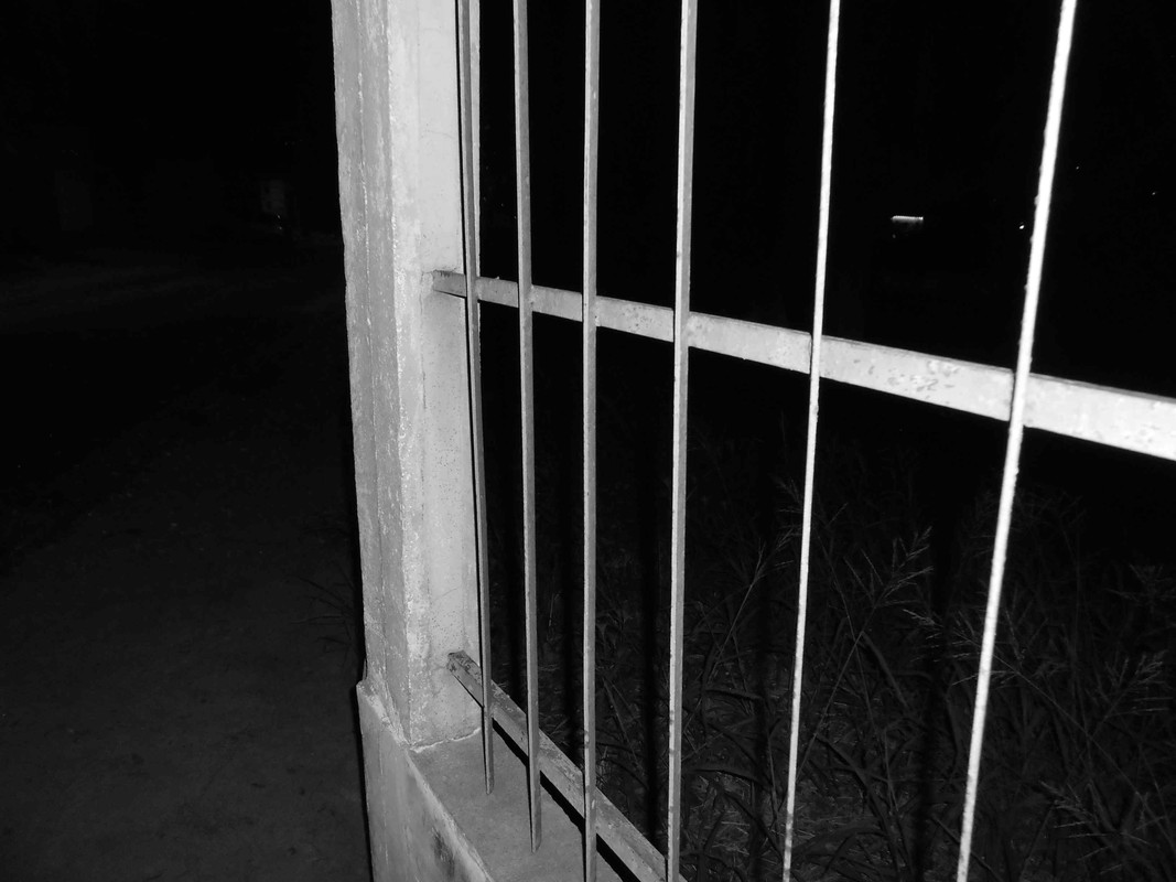 1.1.bnw