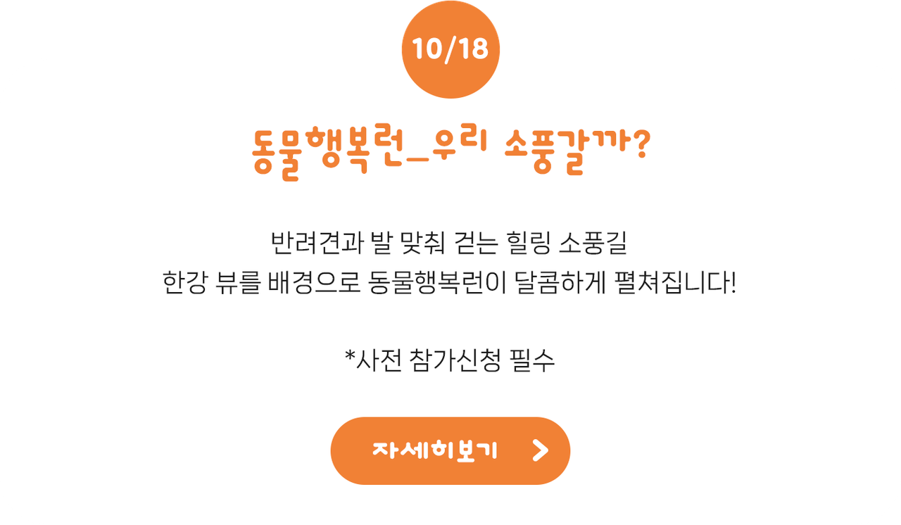 동행런 바로가기