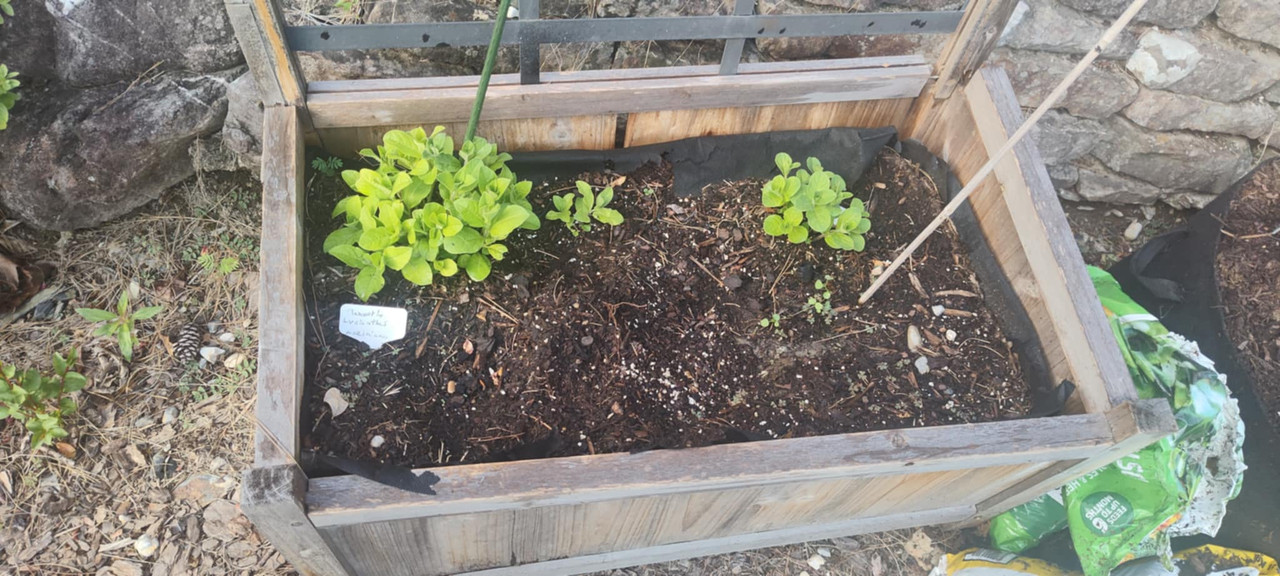 Messenger_creation_391FD75B-8494-4892-8A12-D098A252429C