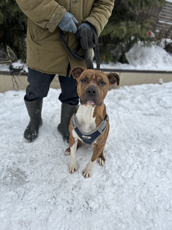 A4856198-6102-4211-819F-EAEFA286A5AB