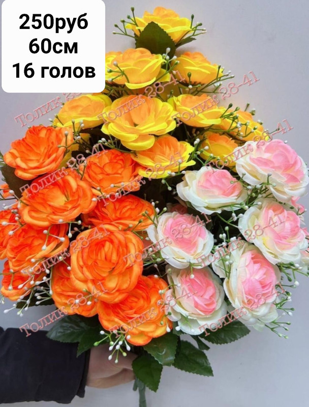 https://i.postimg.cc/rz6xwz4z/IMG-20230221-231242.jpg