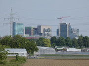 P1010998
