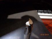 DSC00313.jpg