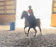 35542D20-D10A-48DD-BB5B-ABA553E423EF