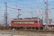 IMG-1444