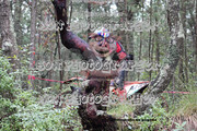 IMG-6347