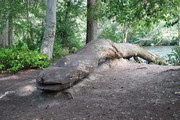 DSC-0052.jpg
