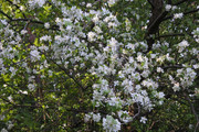 DSC-0916
