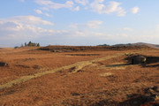 IMG-0260