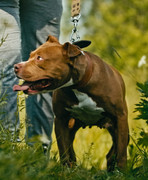 Screenshot_20230627_234911_Gallery