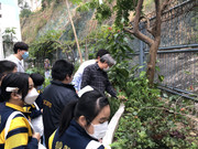 photo-iherbalgarden-3rd-011