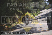 IMG-1256