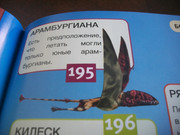 https://i.postimg.cc/rzNhvdR7/100-8093.jpg