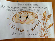 IMG-8508