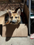 PXL_20220914_084553519