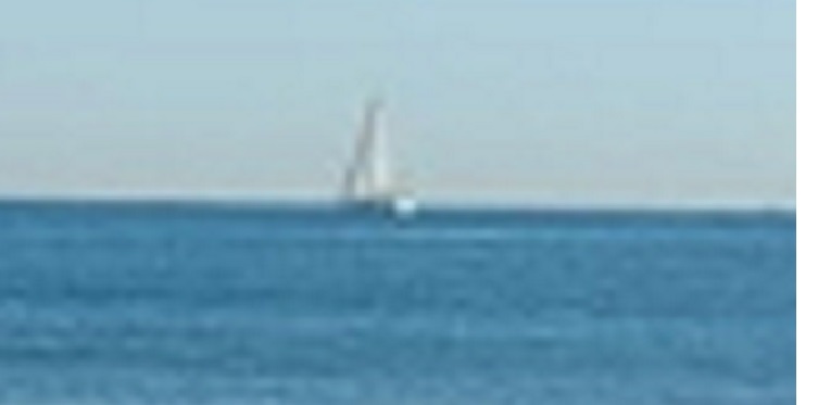 ferris-3.jpg