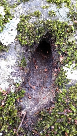 20140222_151850 (360x640)